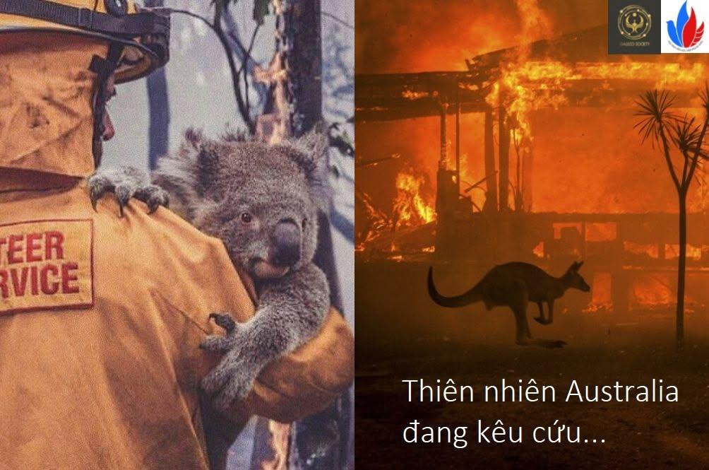 THIÊN NHIÊN ÚC ĐANG KÊU CỨU...